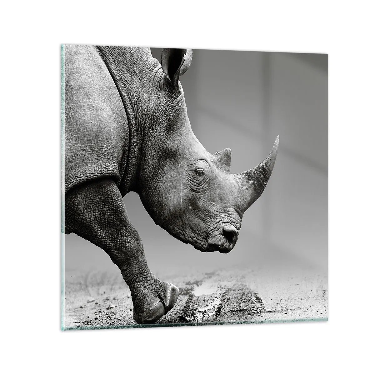 Glasbild - Bild auf glas - Unaufhaltsame Stärke - 50x50 cm