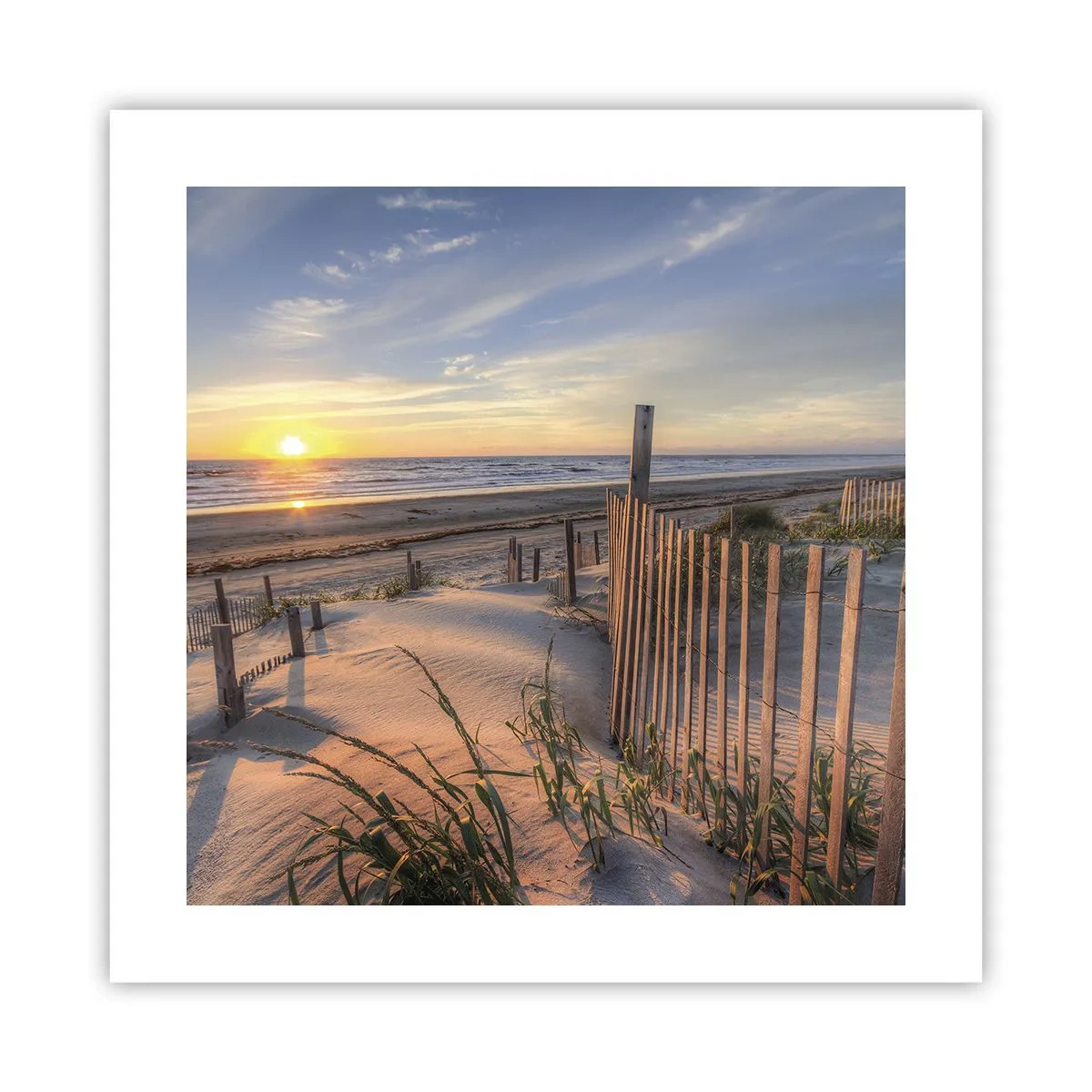 Poster - Schein und Schatten des Windes - 40x40 cm