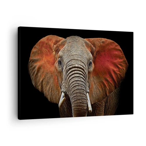 Bild auf Leinwand - Leinwandbild - Porträt eines Elefanten auf schwarzem Hintergrund - 70x50cm - Ich bin wild und du? - Moderne Wanddekoration für Wohnzimmer und Schlafzimmer ARTTOR