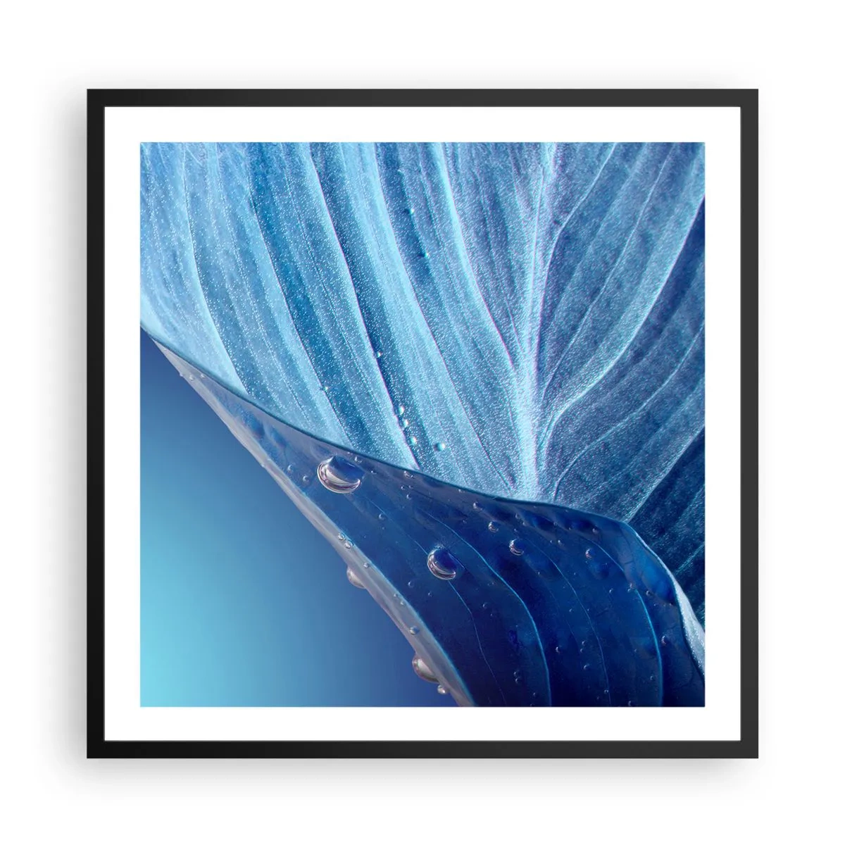 Poster in einem schwarzem Rahmen - Versteckte Tropfen vom Blau - 60x60 cm