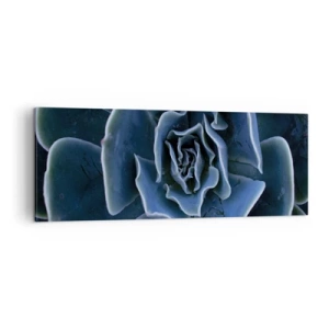 Bild auf Leinwand - Leinwandbild - Nahaufnahme einer grünen Sukkulentenrosette - 140x50cm - Wüstenblume - Moderne Wanddekoration für Wohnzimmer und Schlafzimmer ARTTOR