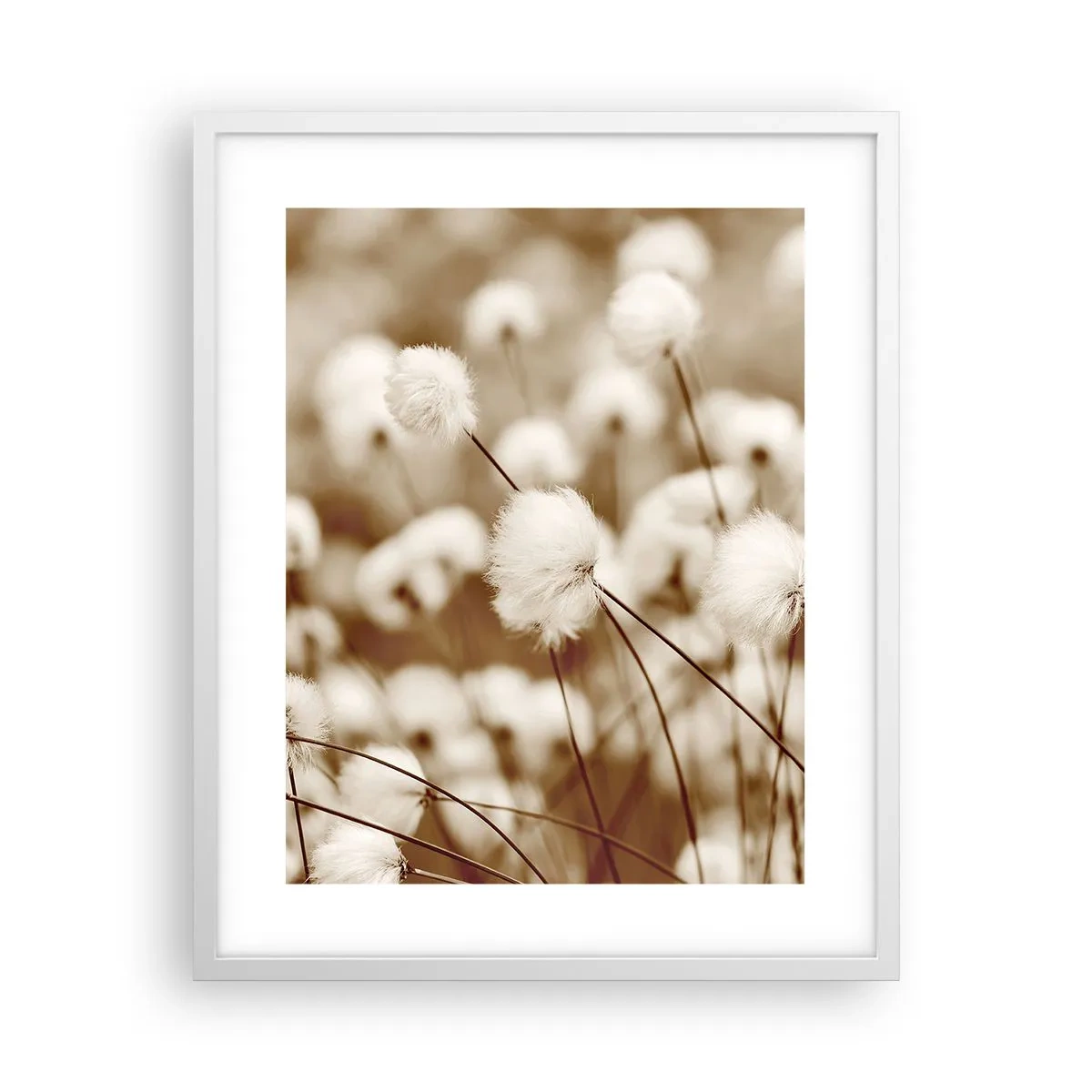 Poster in einem weißen Rahmen - Flauschiges Kornfeld - 40x50 cm