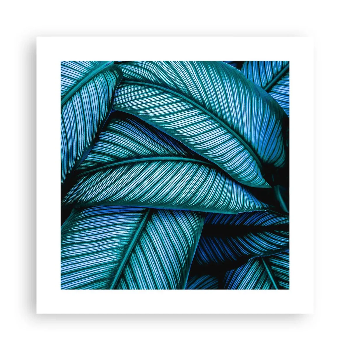 Poster - Lebenslinien - 40x40 cm