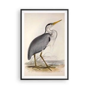 Poster in einem schwarzem Rahmen - Reiher Gnade - 61x91 cm