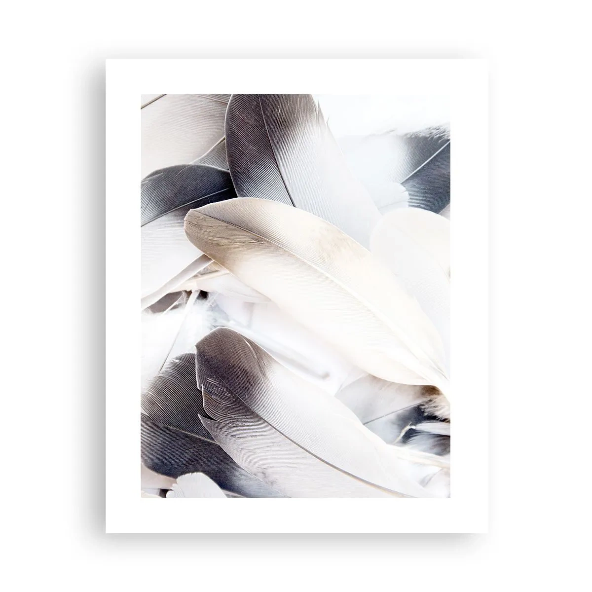 Poster - Fast engelhaft - 40x50 cm