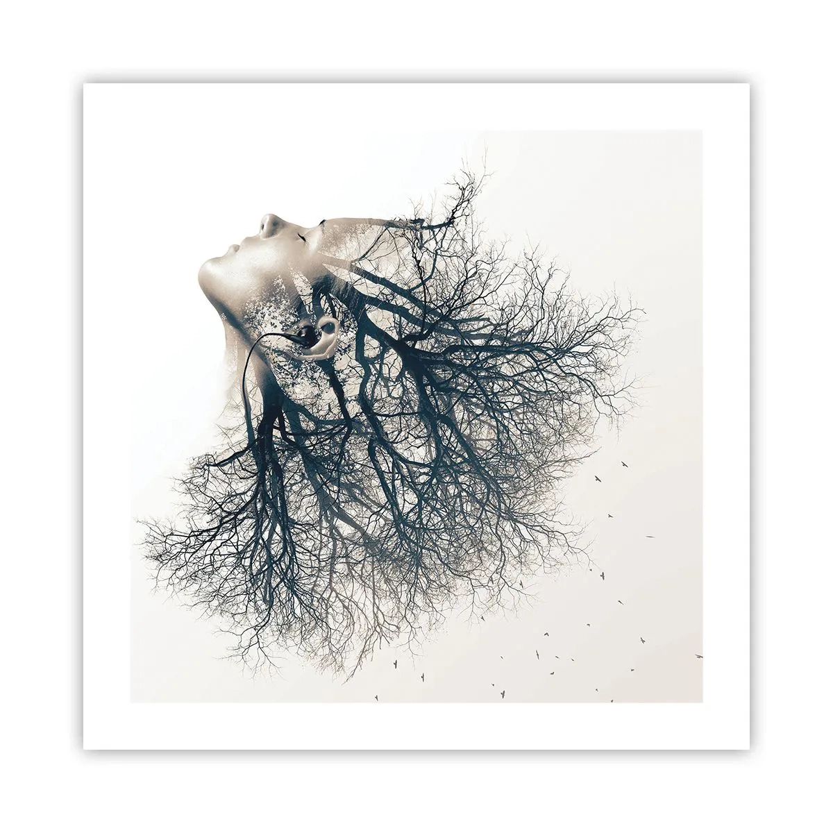 Poster - Dem Rauschen der Bäume lauschen - 50x50 cm