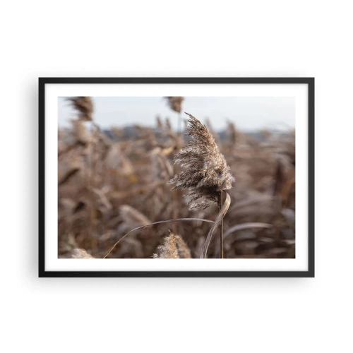 Poster in einem schwarzem Rahmen - Zarte Gräser in Beigetönen vor dem Hintergrund der Natur - 70x50cm - Zeit, mit dem Wind zu gehen - Moderne Wanddekoration für Wohnzimmer und Schlafzimmer ARTTOR