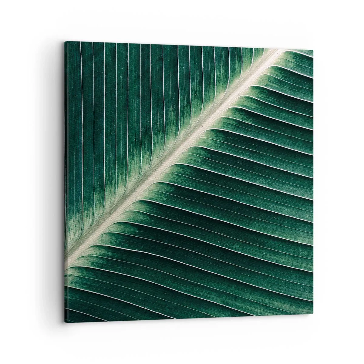 Bild auf Leinwand - Leinwandbild - Rhythmus der Natur - 50x50 cm