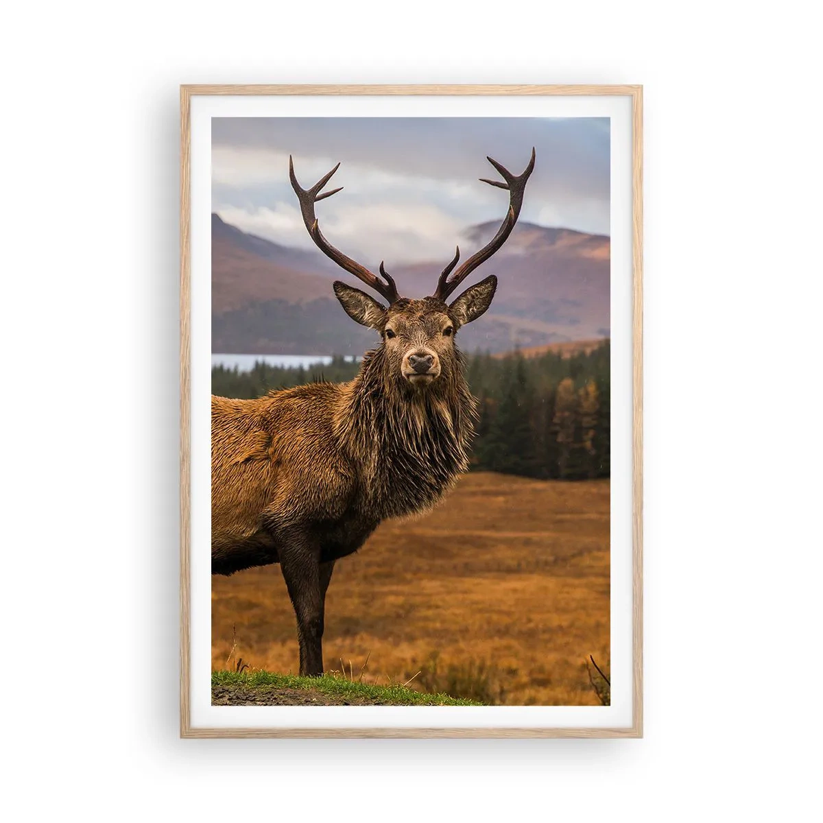Poster in einem Rahmen aus heller Eiche - Die Majestät der Natur - 70x100 cm