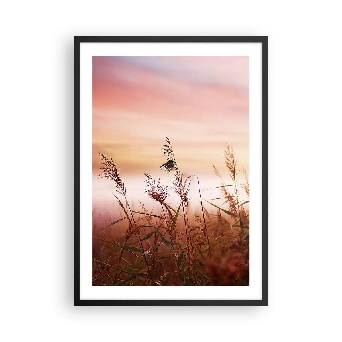 Poster in einem schwarzem Rahmen - Gräser vor einem bunten Himmel bei Sonnenuntergang - 50x70cm - Drachen, Löwenzahn, Wind - Moderne Wanddekoration für Wohnzimmer und Schlafzimmer ARTTOR