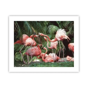 Poster - Nachmittagsklatsch - 50x40 cm