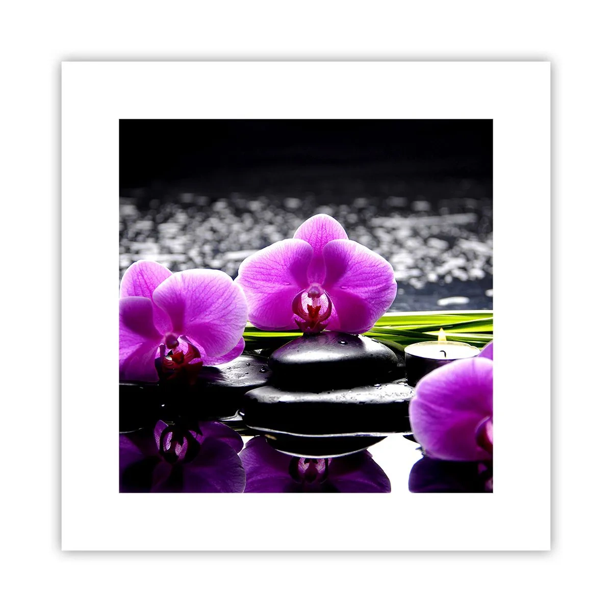 Poster - In Ruhe ertrinken - 30x30 cm