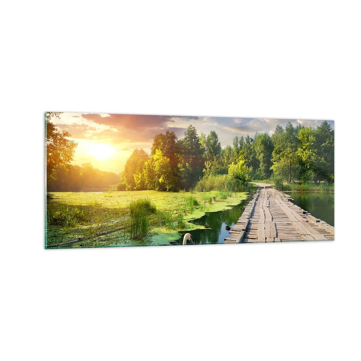 Glasbild - Bild auf glas - Sommer, Sommer überall - 100x40 cm