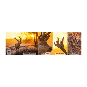 Fototapeten Muster Selbstklebend Deluxe Sticker - König des Herbstwaldes - Landschaft, Reh, Natur - 100x30 cm