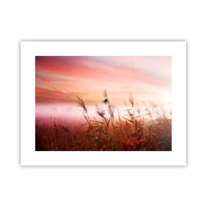 Poster - Drachen, Löwenzahn, Wind - 40x30 cm