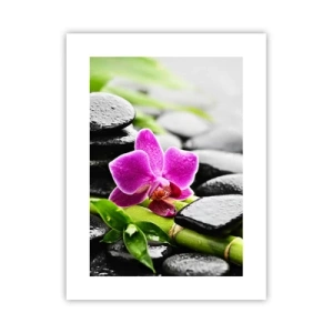 Poster - In ruhiger Balance - 30x40 cm