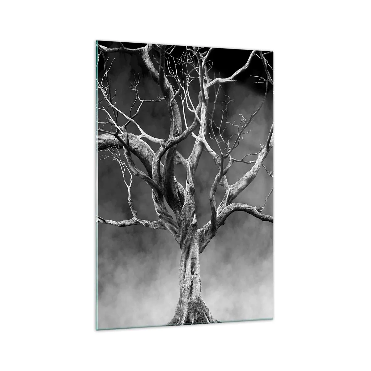 Glasbild - Bild auf glas - Ein trockener Baum in Schwarz und Weiß gegen den Nebel - 70x100cm - Ursprünglich und heilig - Moderne Wanddekoration für Wohnzimmer und Schlafzimmer ARTTOR