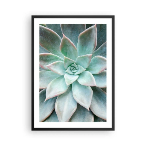 Poster in einem schwarzem Rahmen - Eine Nahaufnahme der symmetrischen Blätter einer Sukkulente in Grüntönen. - 50x70cm - Das Herz der Wüste - Moderne Wanddekoration für Wohnzimmer und Schlafzimmer ARTTOR