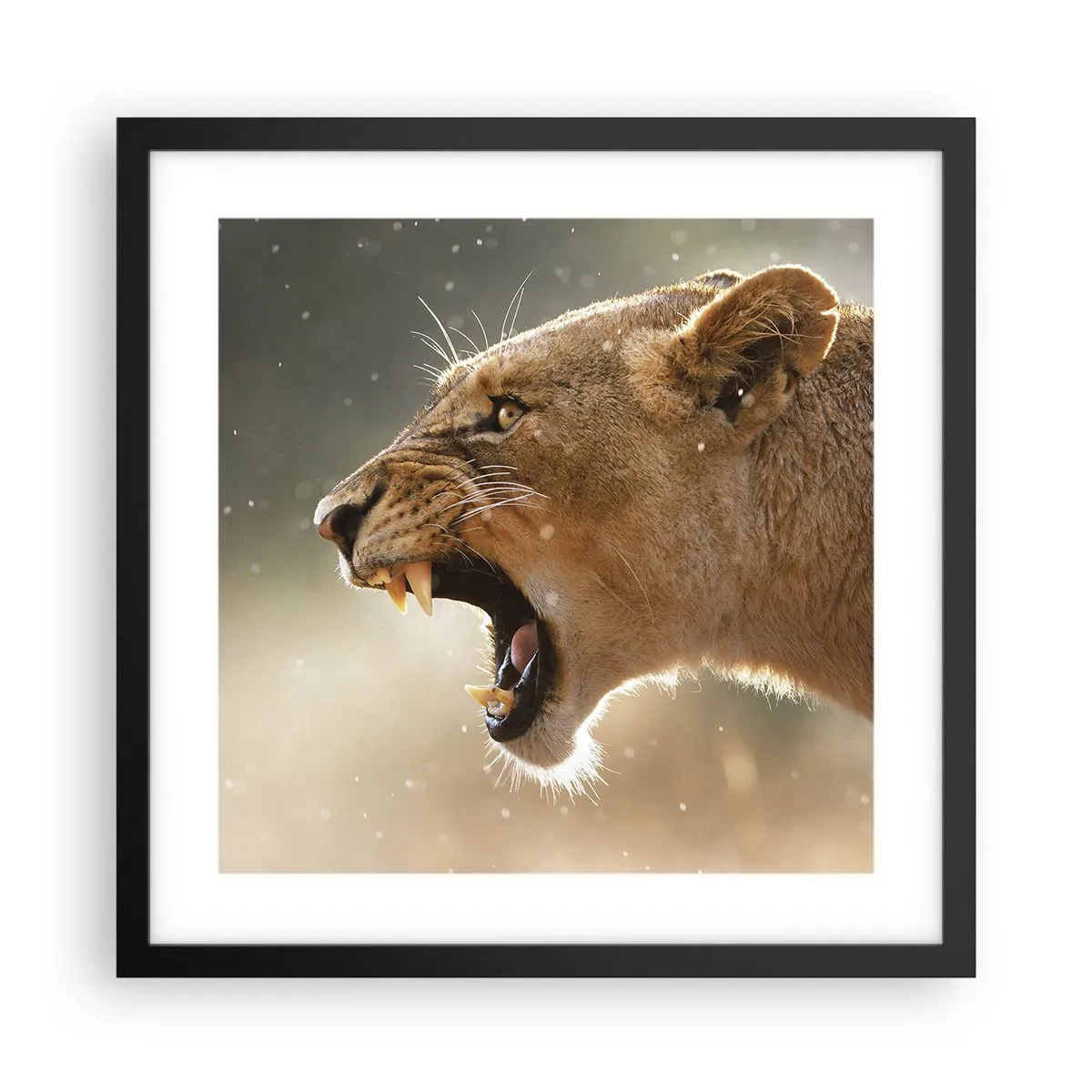 Poster in einem schwarzem Rahmen - Versuch, nicht zuzuhören - 40x40 cm