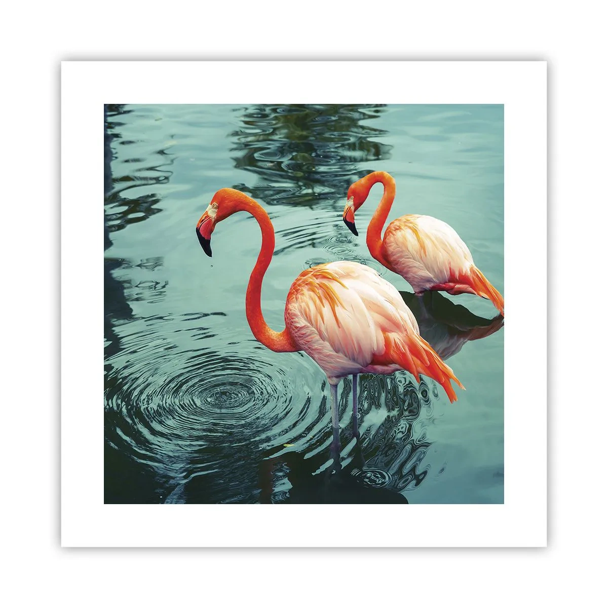 Poster - Wir sind jetzt in Mode - 40x40 cm