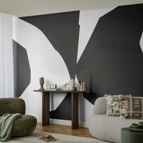 Fototapete Premium Canvas - Positiv negativ - Schwarz und weiß, Abstraktion, Stück - 150x105 cm