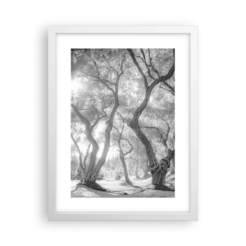 Poster in einem weißen Rahmen - Im Olivenhain - 30x40 cm