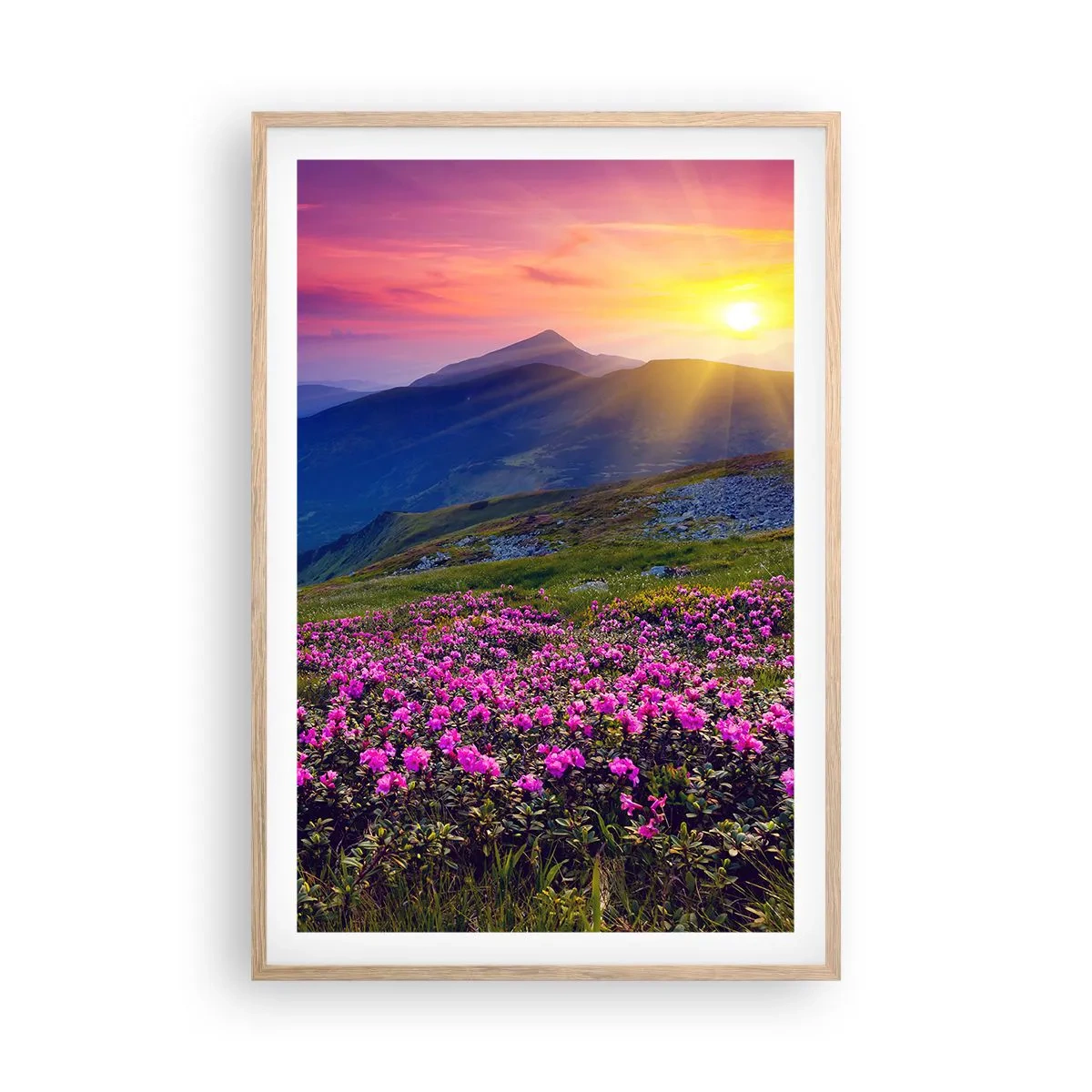 Poster in einem Rahmen aus heller Eiche - … Und drumherum duftet es nach Latschenkiefer und dem Duft von Kräutern - 61x91 cm