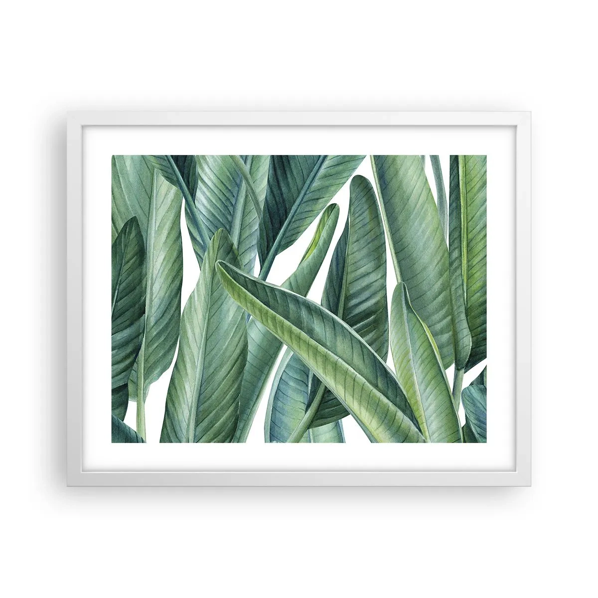 Poster in einem weißen Rahmen - An und für sich Grün - 50x40 cm