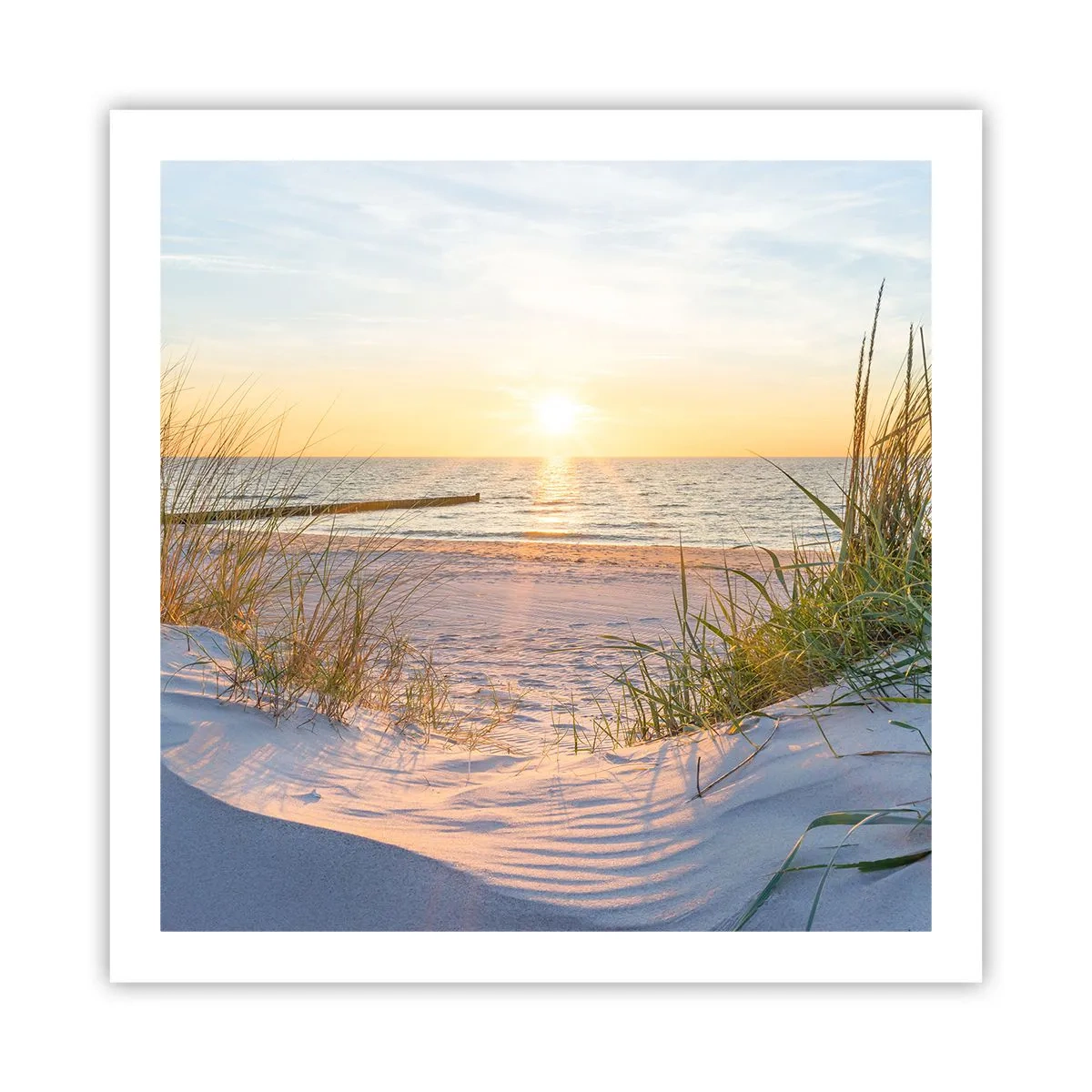 Poster - Das Rauschen des Meeres, der Gesang der Vögel, ein wilder Strand im Gras ... - 60x60 cm