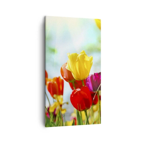 Bild auf Leinwand - Leinwandbild - Alle Farben der Sonne - 45x80 cm