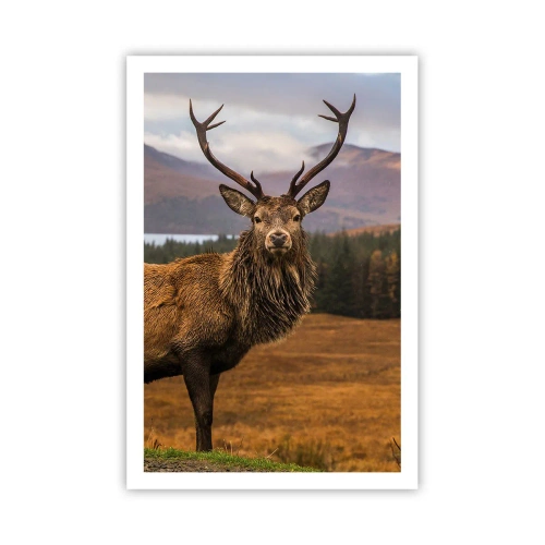 Poster - Die Majestät der Natur - 61x91 cm