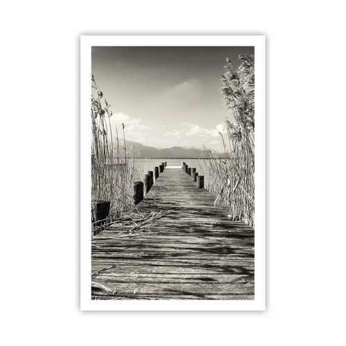 Poster - In der Stille des Grases - 61x91 cm