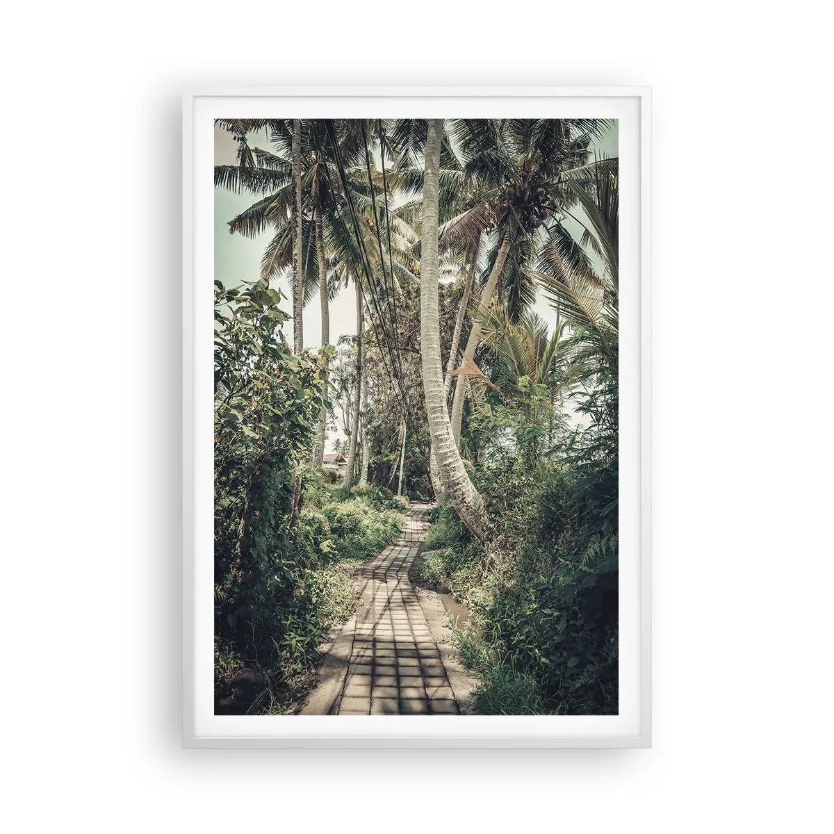 Poster in einem weißen Rahmen - Palmenallee - 70x100 cm