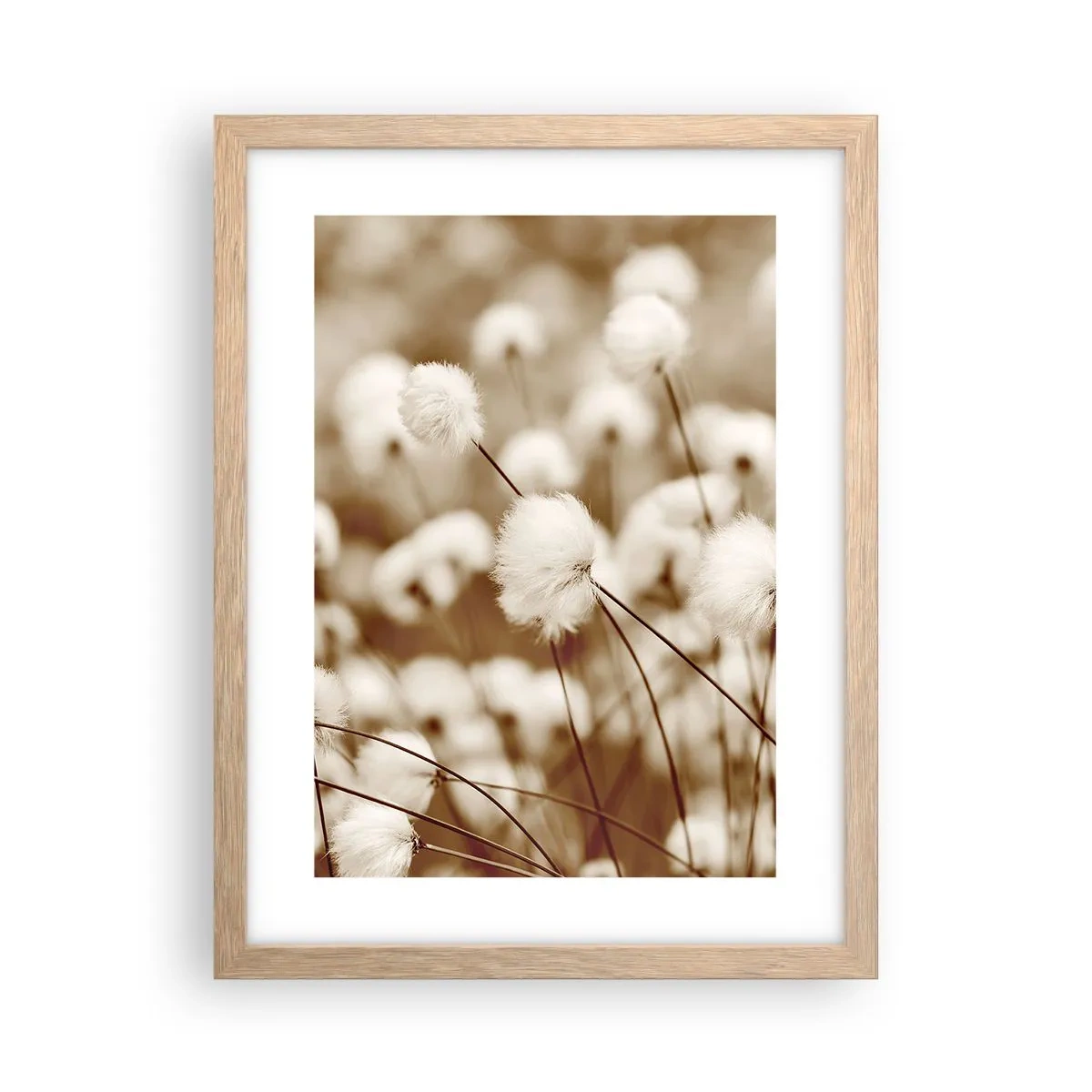 Poster in einem Rahmen aus heller Eiche - Flauschiges Kornfeld - 30x40 cm