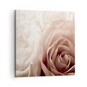 Bild auf Leinwand - Leinwandbild - Im Herzen der Rose - 60x60 cm