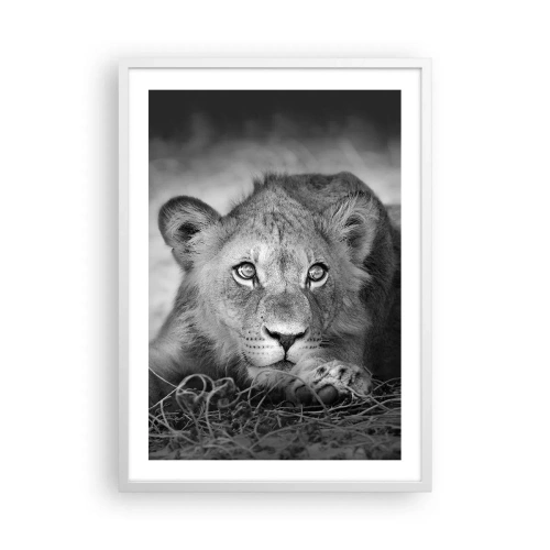 Poster in einem weißen Rahmen - Königlicher Welpe - 50x70 cm