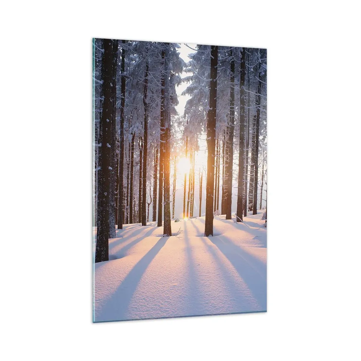 Glasbild - Bild auf glas - Winterwald, beleuchtet von den Sonnenstrahlen - 80x120cm - Ganz klar schwarz auf weiß - Moderne Wanddekoration für Wohnzimmer und Schlafzimmer ARTTOR