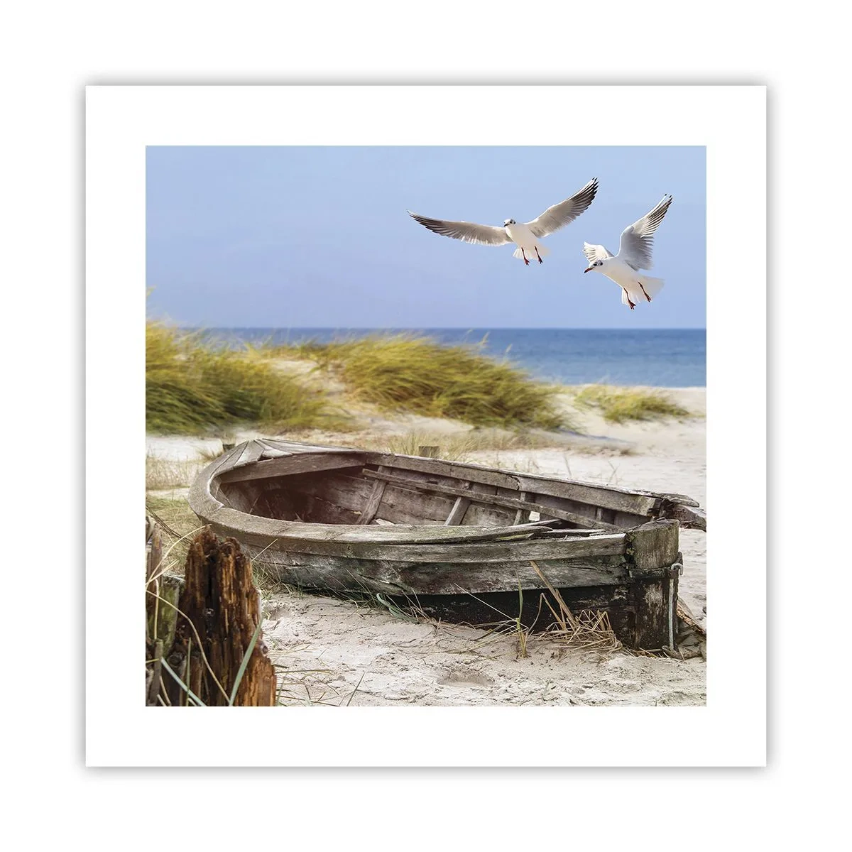 Poster - In Wind gebadet - 40x40 cm