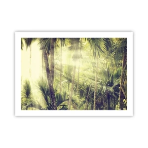 Poster - In grüner Hitze - 70x50 cm