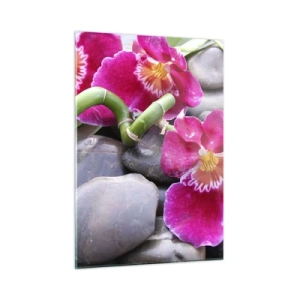 Glasbild - Bild auf glas - Rosa Orchideen mit Bambus auf Steinen - 50x70cm - Kühlen und erhitzen - Moderne Wanddekoration für Wohnzimmer und Schlafzimmer ARTTOR