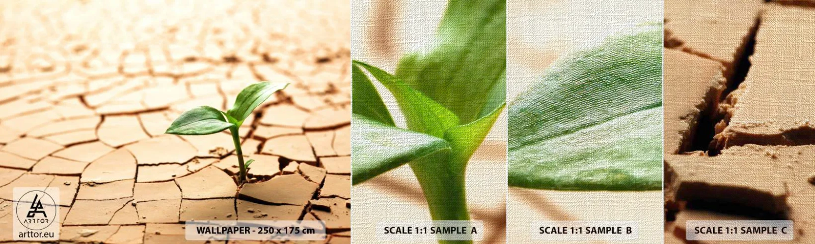 Fototapeten Muster Premium Canvas - Die unbezähmbare Kraft des Lebens - Natur, Anlage, Trockenheit - 100x30 cm