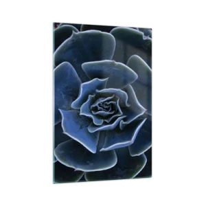 Glasbild - Bild auf glas - Nahaufnahme einer grünen Sukkulentenrosette - 70x100cm - Wüstenblume - Moderne Wanddekoration für Wohnzimmer und Schlafzimmer ARTTOR