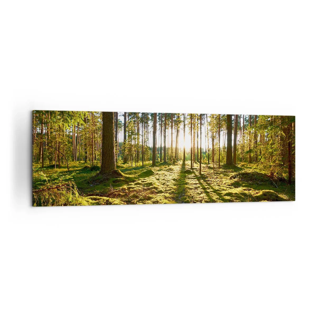 Bild auf Leinwand - Leinwandbild - Grüner Wald, beleuchtet durch Sonnenlicht auf dem Moos - 160x50cm - … Hinter den sieben Wäldern - Moderne Wanddekoration für Wohnzimmer und Schlafzimmer ARTTOR
