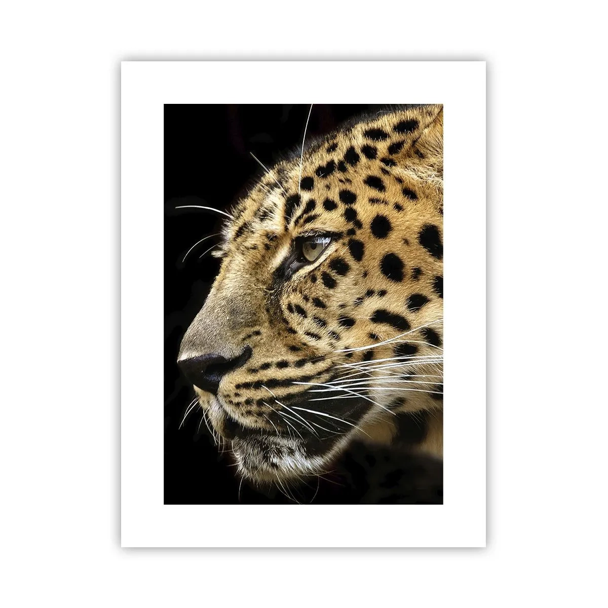 Poster - Ruhig, fokussiert, bereit - 30x40 cm