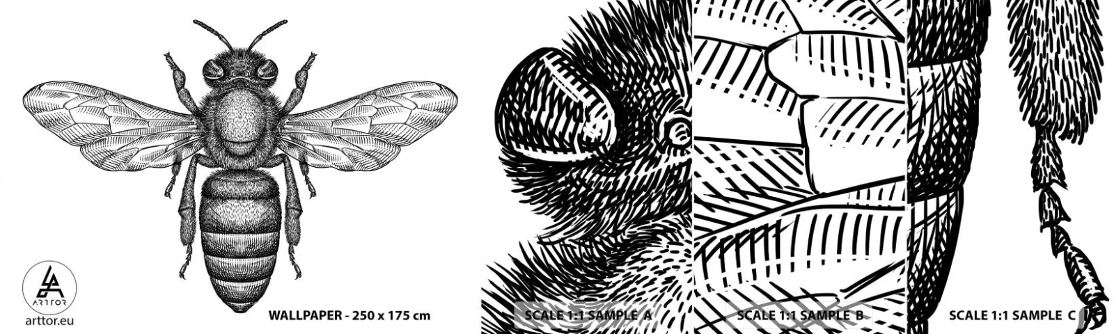 Fototapetenmuster Standard Eco - Insektenporträt - Biene, Insekt, Minimalistisch - 100x30 cm