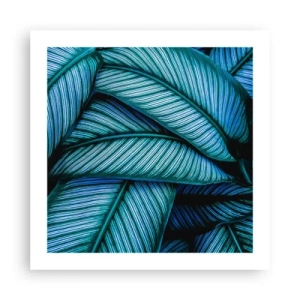 Poster - Lebenslinien - 50x50 cm