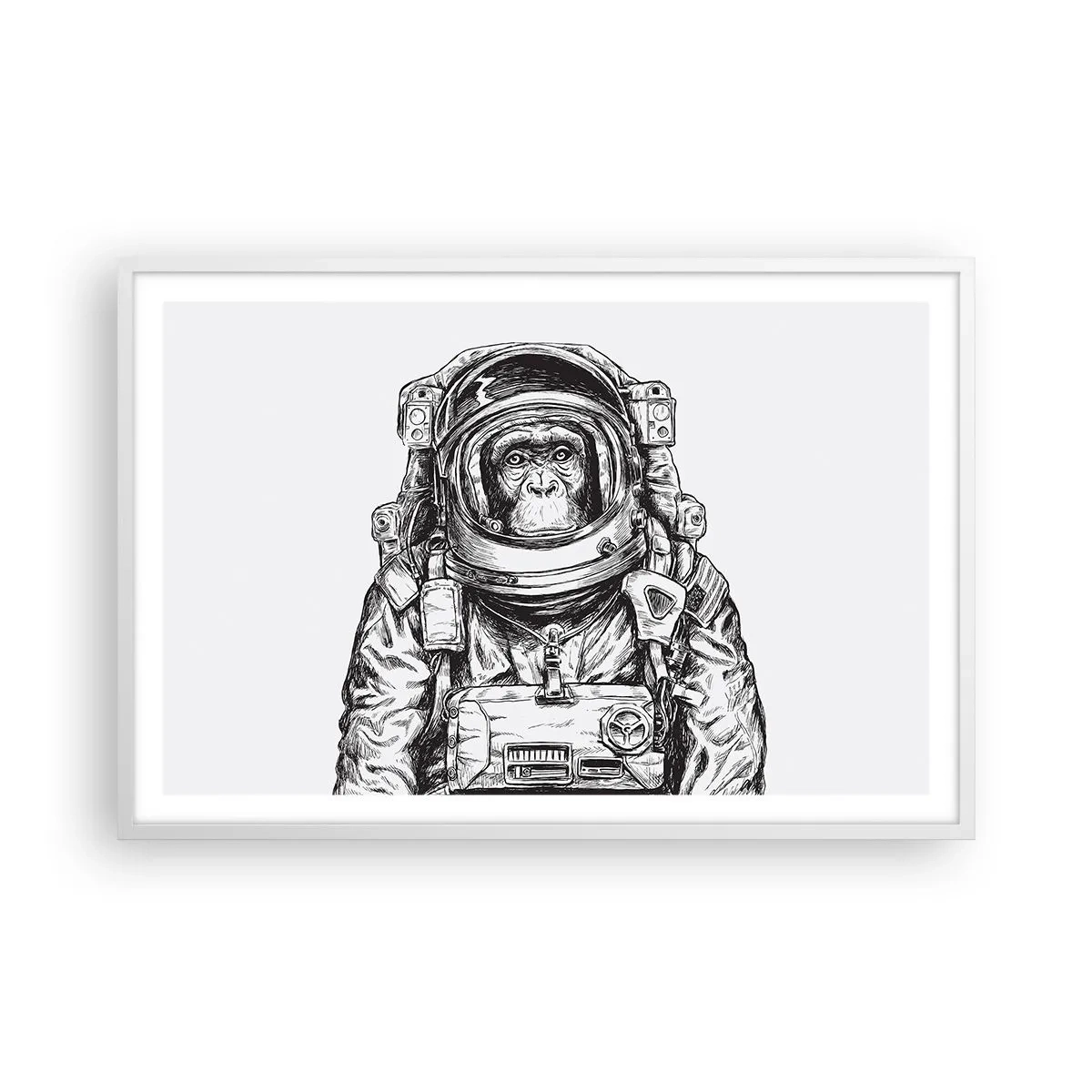 Poster in einem weißen Rahmen - Alternative Evolution - 91x61 cm