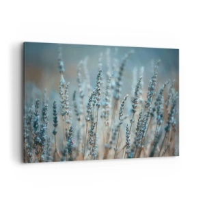 Bild auf Leinwand - Leinwandbild - Lavendel im Feld in dezenten Pastelltönen - 100x70cm - Duftendes Kornfeld - Moderne Wanddekoration für Wohnzimmer und Schlafzimmer ARTTOR