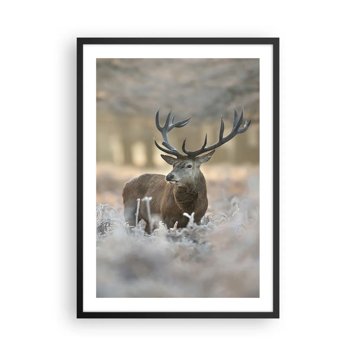 Poster in einem schwarzem Rahmen - Ein stattlicher Hirsch in einer winterlichen Waldkulisse - 50x70cm - Ein flotter Morgen - Moderne Wanddekoration für Wohnzimmer und Schlafzimmer ARTTOR