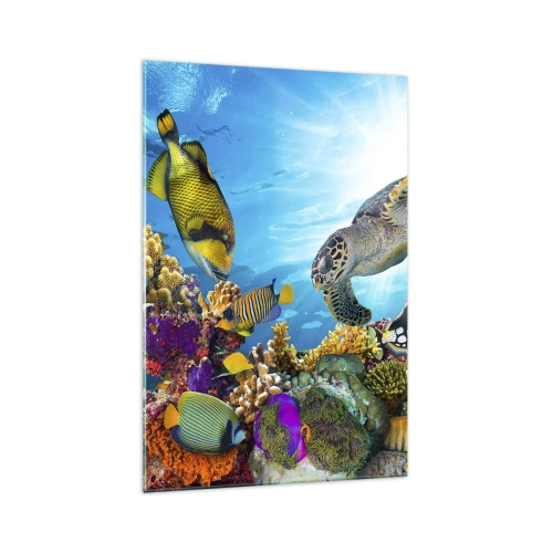 Glasbild - Bild auf glas - Unterwasserwelt mit bunten Fischen und einer Schildkröte in den Korallen - 70x100cm - Korallenpromenade - Moderne Wanddekoration für Wohnzimmer und Schlafzimmer ARTTOR